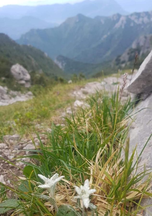Stephanie Residence Esino Lario Εξωτερικό φωτογραφία